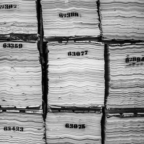 raw-veneer-prior-to-pressing